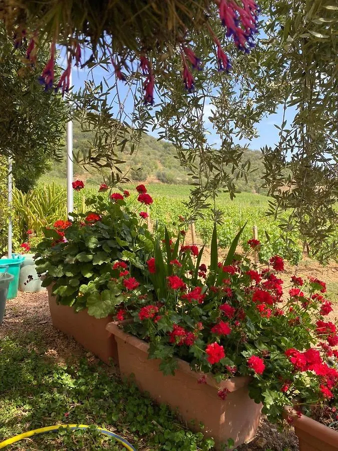 Apartmán Monte Astili Lanusei 0*,