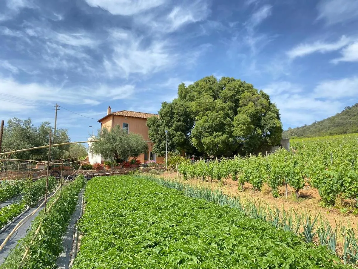 Monte Astili Apartment Lanusei 0*,  Italy