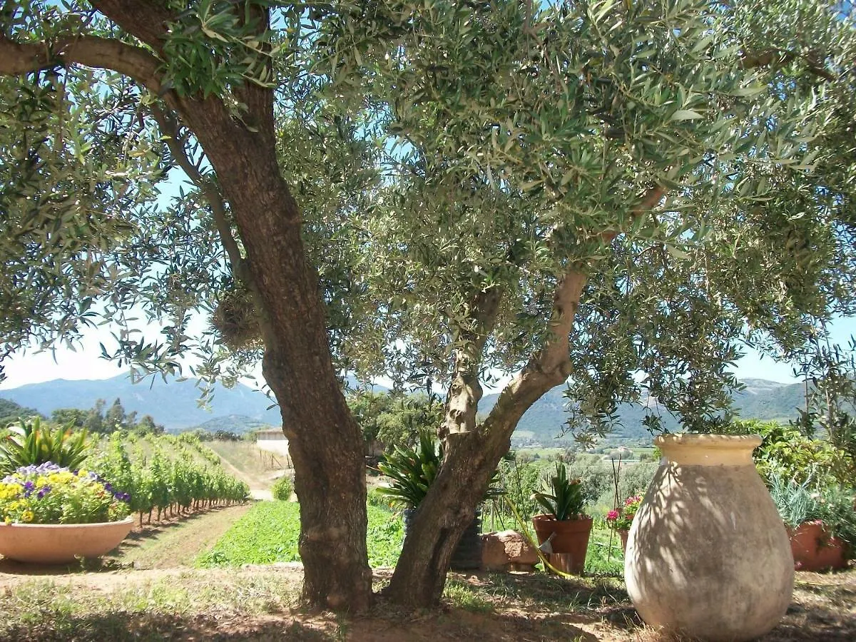 Apartmán Monte Astili Lanusei