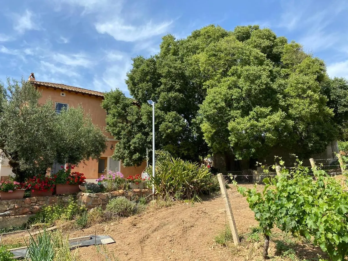 Monte Astili Apartment Lanusei